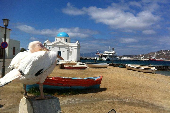 Privat tur: Mykonos ön på en halv dag
