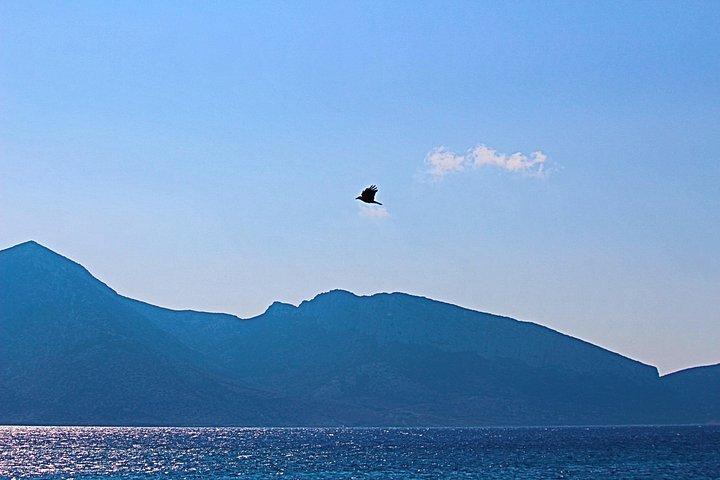 プライベートツアー：半日でミコノス島