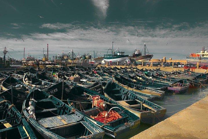 Private day trip from Marrakech to Essaouira