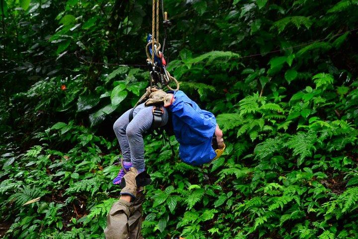Canopy Tour + Tarzan Swing + Night Walk