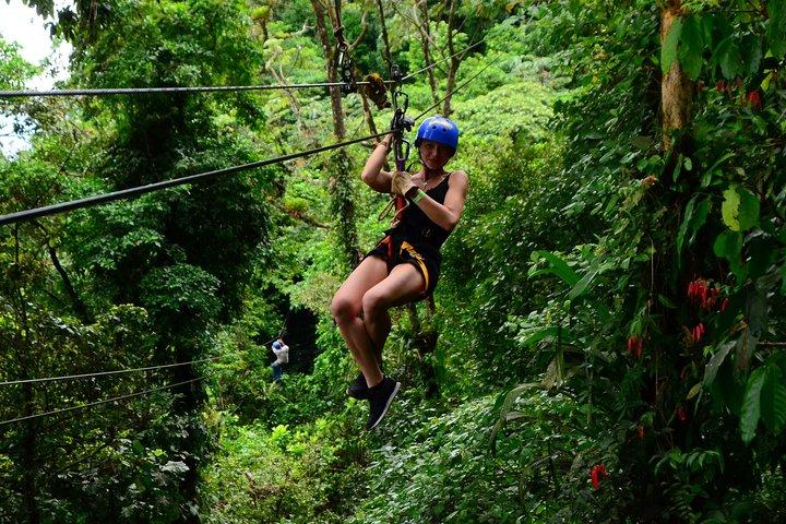 Canopy Tour + Tarzan Swing + Night Walk