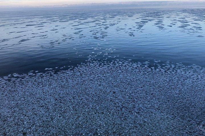 Estonian Seaside Tour