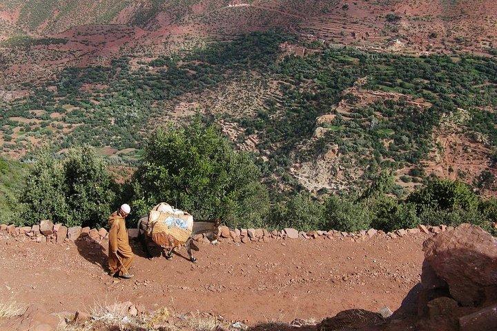 Private Day Trip To Ourika Valley And Anima Garden(André Heller)