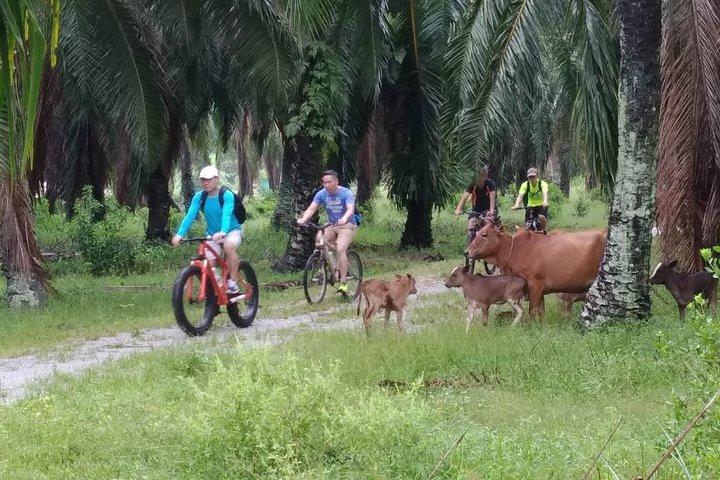 Excursion à vélo d’une demi-journée dans la campagne de Penang