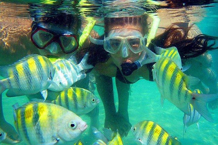 Besichtigen Sie den Cinto Parque Tayrona Park.