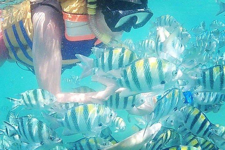 3D / 2N(ホテル)ロンボクツアーパッケージ