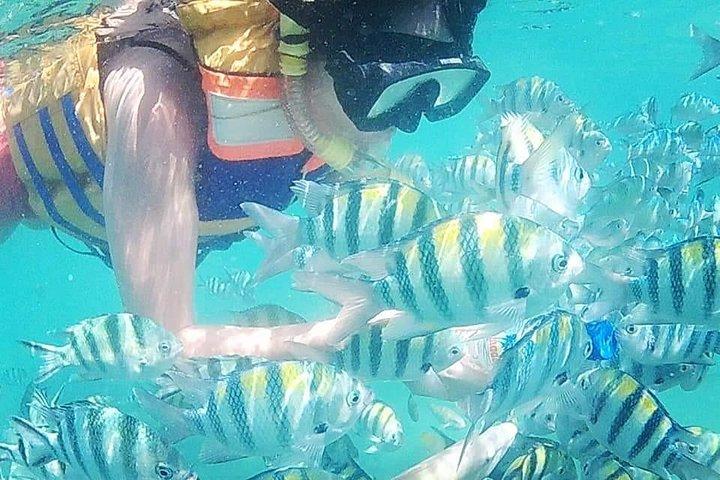 Pacchetto turistico Lombok Backpacker 5D / 4N (ostello)