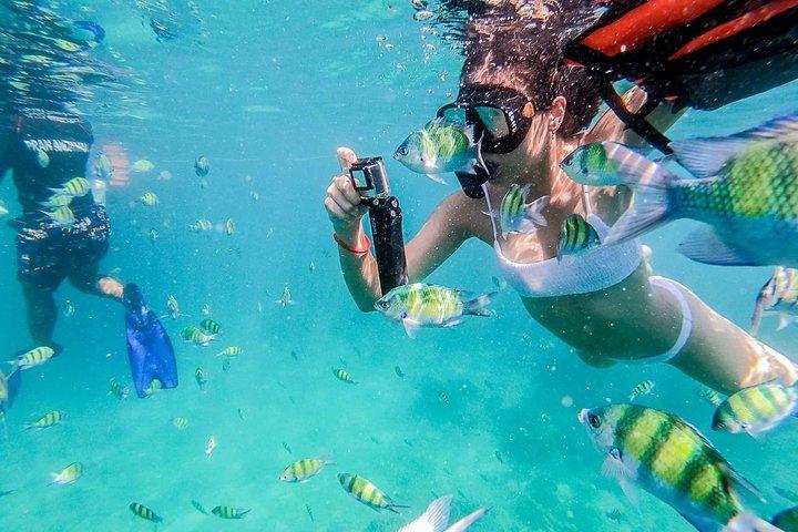 Tour tutto compreso delle isole Phi Phi, Maiton, MayaBay, Khai e Bamboo