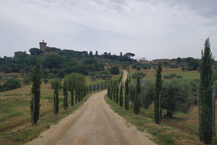 Tuscany Medieval Gems & Elite Venice 8 - Tour di un giorno con Guida Autista