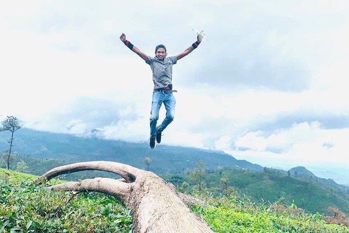 Sightseeing tour Ella & Diyaluma waterfall by car