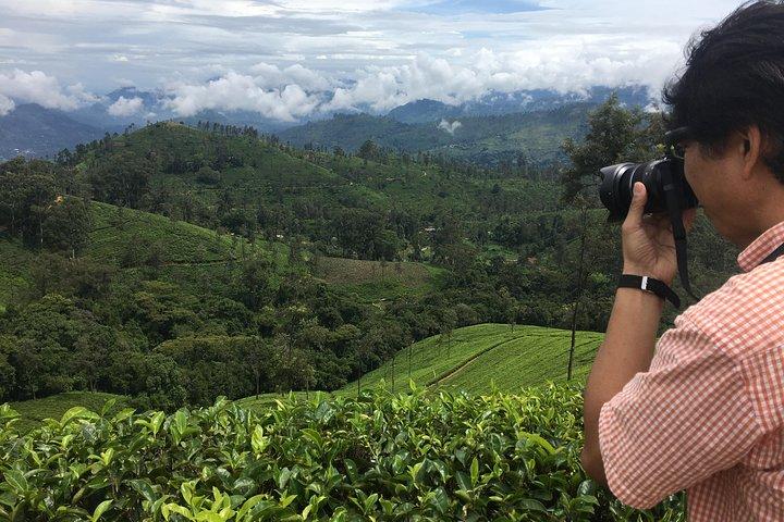 Sightseeing tour Ella & Diyaluma waterfall by car