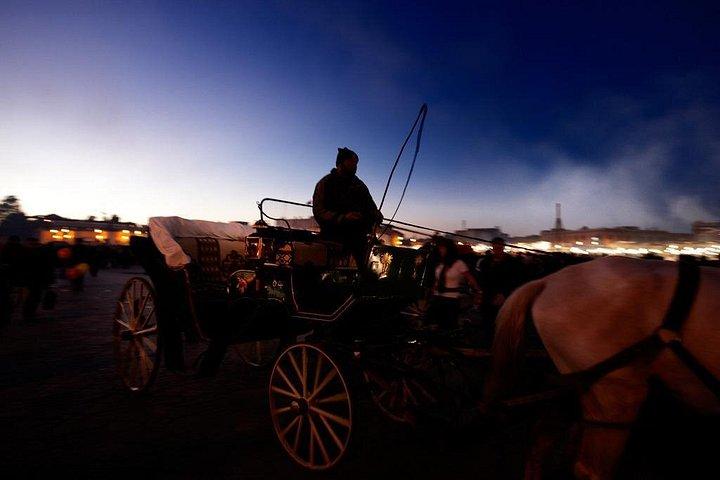 Excursión de un día a Marrakech desde Agadir