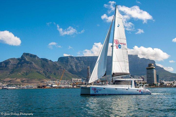 Sailing in The Bay by Catamaran (One Hour)