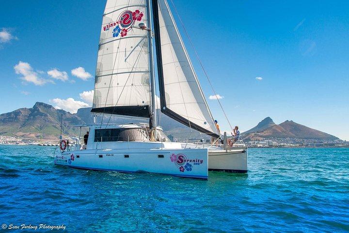 Sailing in The Bay by Catamaran (One Hour)