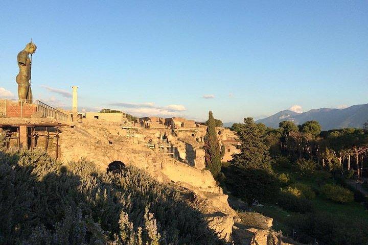 Pompei & Napoli: Tour guidato con la tua Guida Locale
