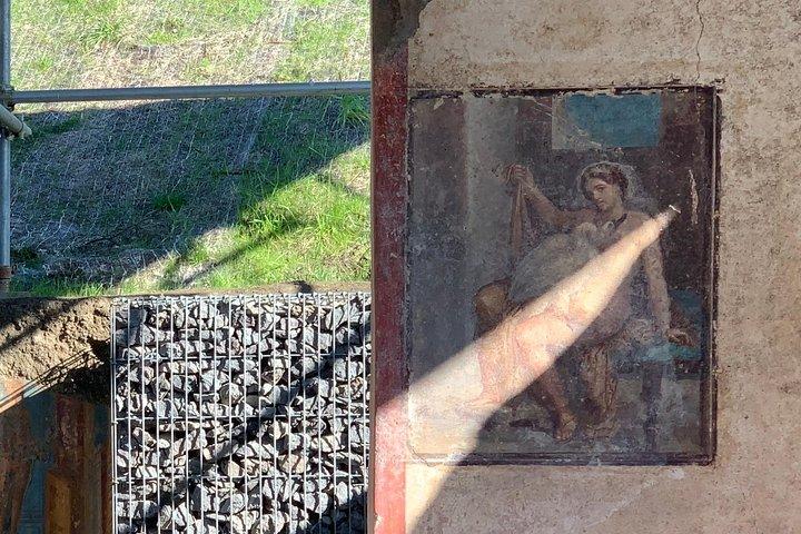 Pompei & Napoli: Tour guidato con la tua Guida Locale