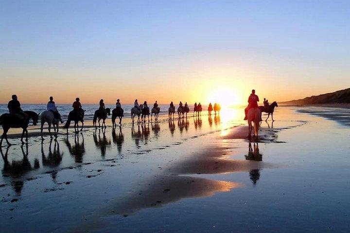 Paardrijroute door Doñana + bezoek aan El Rocio-privétour