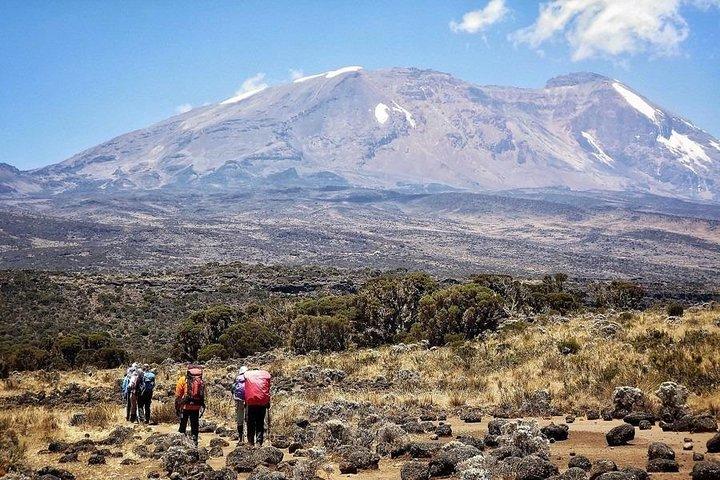 8 dage Lemosho-rute Kilimanjaro Trekking