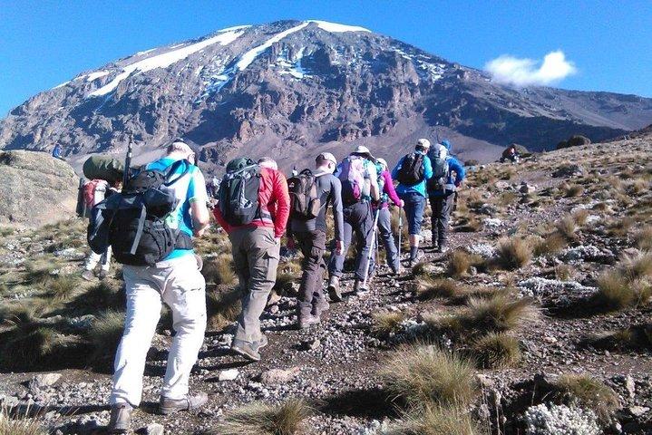 8 días Lemosho Ruta Kilimanjaro Trekking