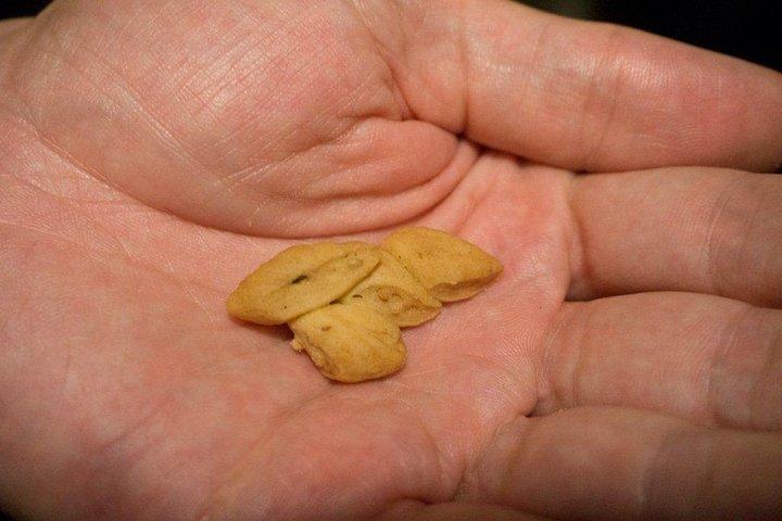 ローカルガイド、Fes Foodie Tour