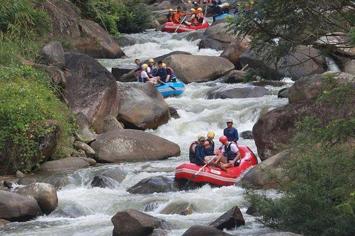 Rafting en eau vive à 5 km et excursion dans la jungle au départ de Phuket