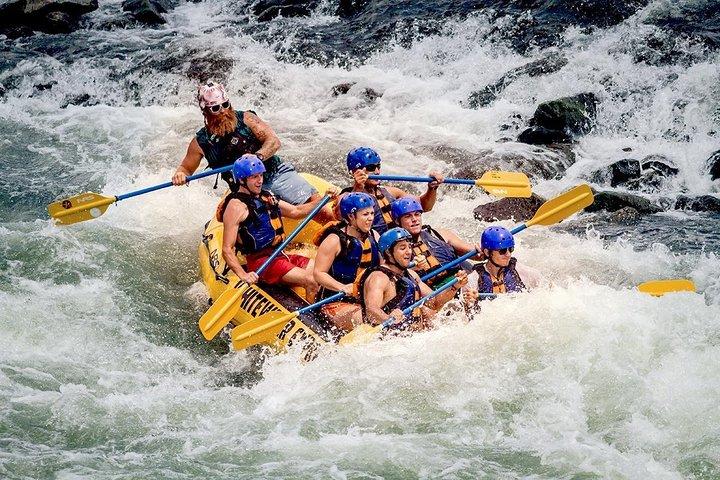 Tour di un giorno in rafting sull'acqua Kitulgala da Colombo, Negombo o Kandy