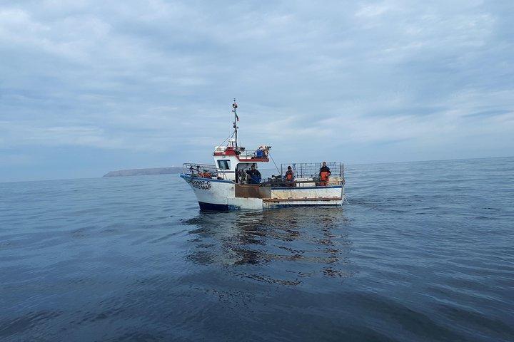 Shared Group Boat and Kayak at Berlengas Island with a local