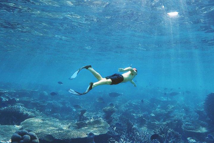 Luxor to Red Sea Hurghada - Full Day Tour Snorkeling Adventure