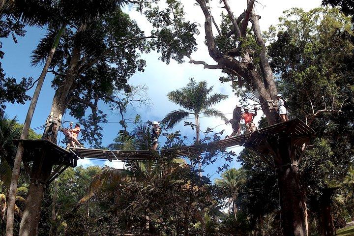 Zip Line over Dunns River Falls