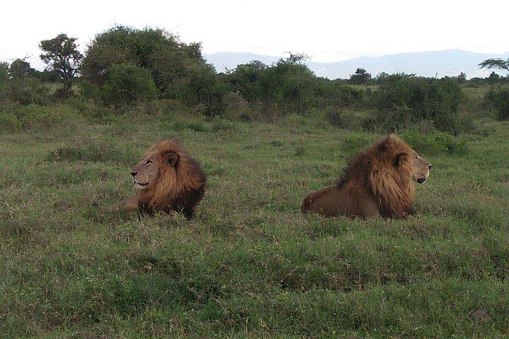 7-Days Honeymooners Tours