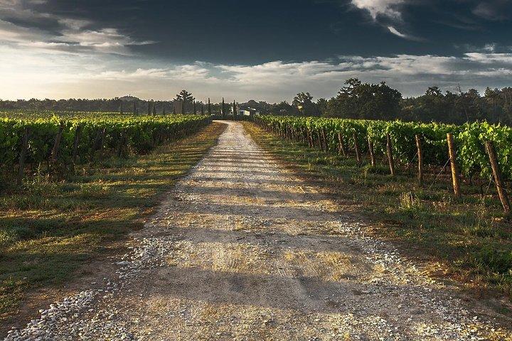 Private Customizable Niagara Falls Winery Tour a partir de Buffalo NY