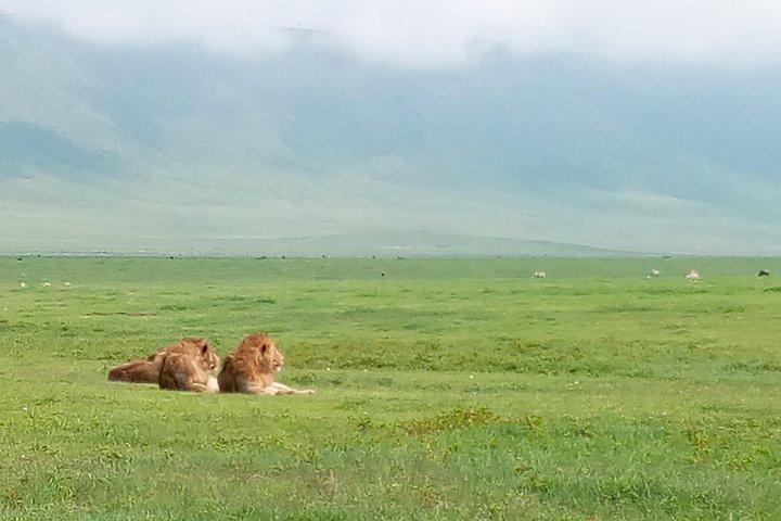 5 Days Safari from Dar es Salaam to Tarangire NP, Manyara NP & Ngorongoro Crater