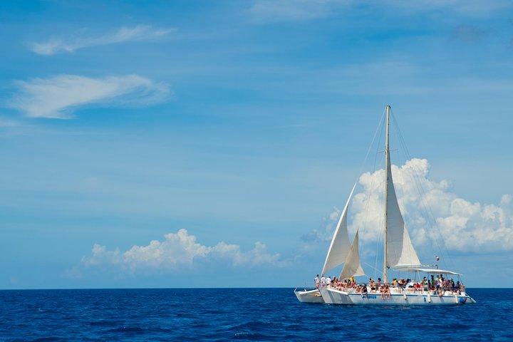 Saona Island VIP Tour: Hidden Beaches, Snorkeling & Mano Juan