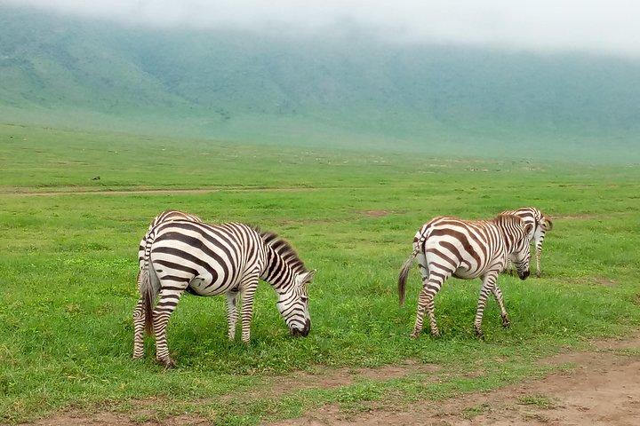 5 Days Safari from Dar es Salaam to Tarangire NP, Manyara NP & Ngorongoro Crater