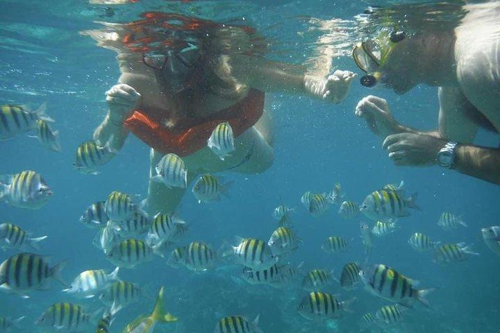 Negril Hummer frokost på Booby Cay & snorkling til en sunken kanon