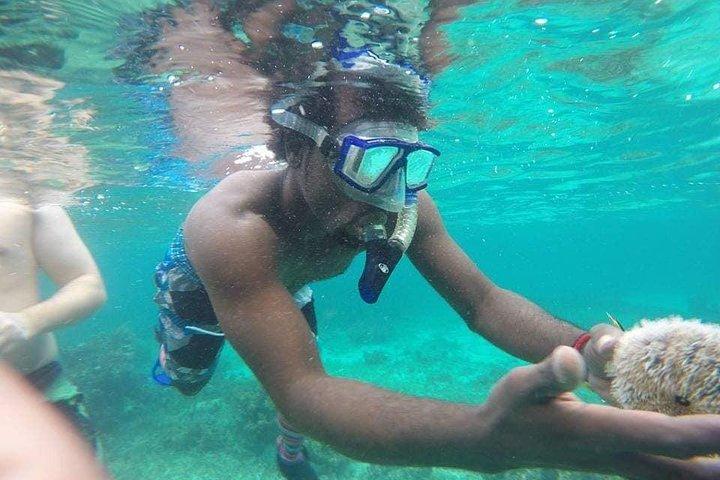 Rick's Cafe Sunset Cruise og Snorkling