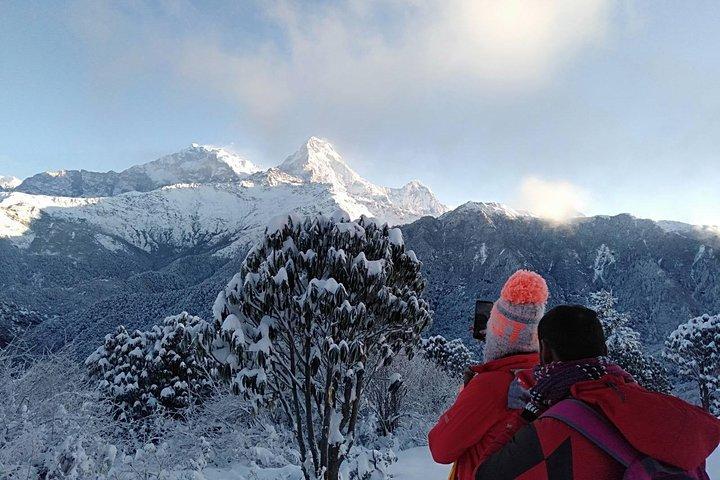 3-tägiger Poon Hill Trek von Pokhara.