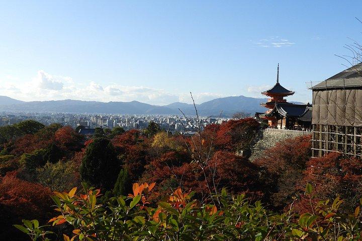 Visite privée d'une journée complète à Kyoto (8 heures)
