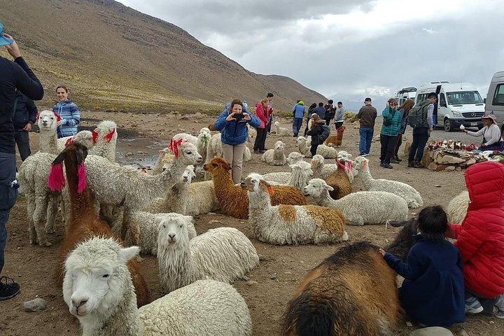 Canyon de Colca 2 jours 1 nuit
