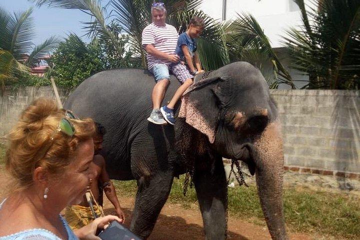 コロンボ港からインギリヤ茶畑への小旅行2人用