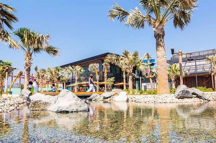 Tour della città di Dubai per l'intera giornata