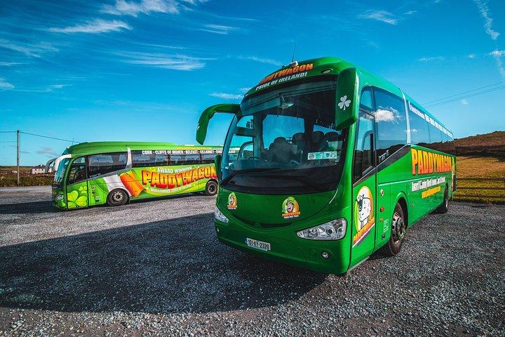 Dagtour naar de Kliffen van Moher vanuit Limerick : Wild Atlantic Way