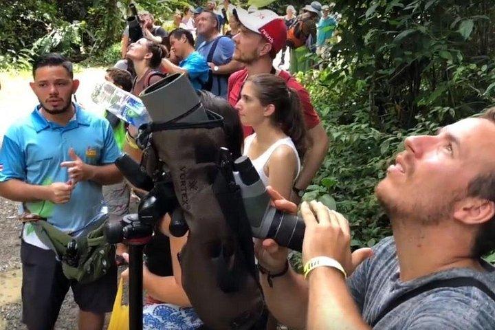 マヌエルアントニオ国立公園ガイド付きツアー