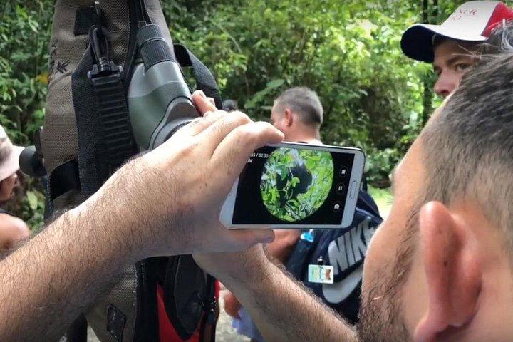 マヌエルアントニオ国立公園ガイド付きツアー