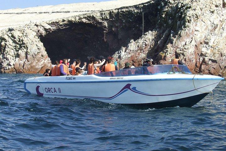 パラカス 1 日 : Islas Ballestas、国立公園、パラカスのサンドボーディング