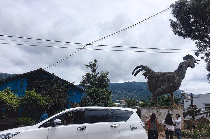 2 dagars VIP Special Tour - Utforska Dalat City, landsbygden och vattenfall