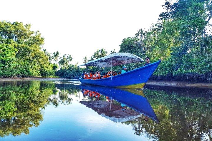 Sky-Mirror Photographing och Proboscis Monkey & Fireflies Watching River-Cruise
