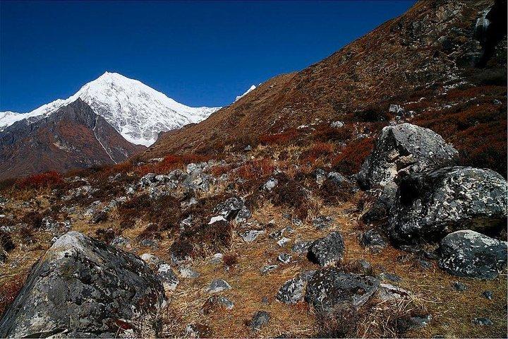 Langtang Valley Trek