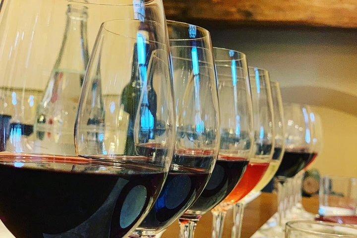 Contrate sua Guia Local de Vinhos em Bolgheri para degustações privadas