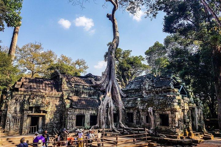Explore Angkor Wat Sunrise- Private Tour by Car